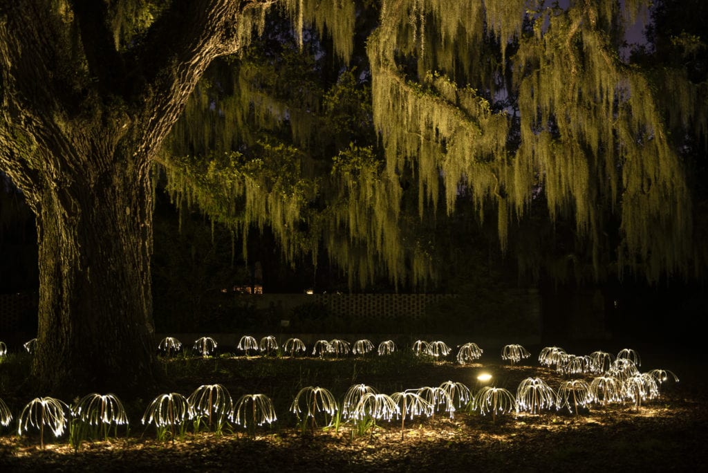 Bruce Munro Southern Lights at Brookgreen Gardens