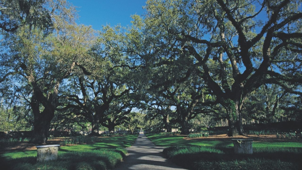 Brookgreen-Gardens-Walkway.jpg