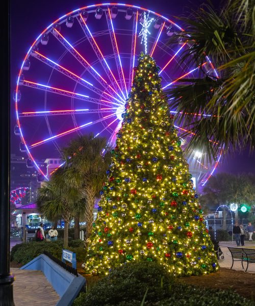 Winter Wonderland at the Beach