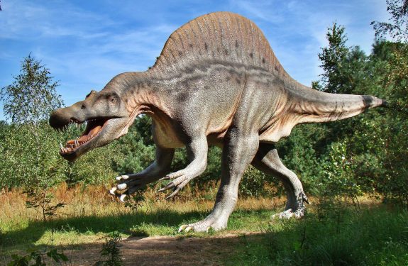 dinosaur-g285a148ee_1920.jpg